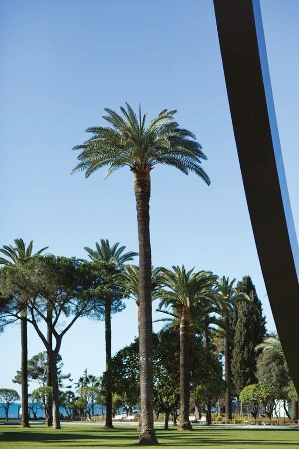 Le Prefecture - Luxueux F3 En Duplex, Ascenseur, Coeur Vieux-Nice Lägenhet Exteriör bild